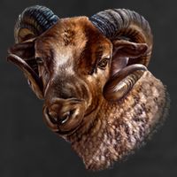 Wildlife Ram Stare Adult Drive Performance Visor