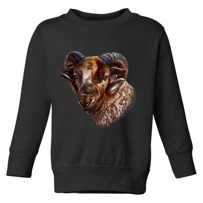 Wildlife Ram Stare Toddler Sweatshirt