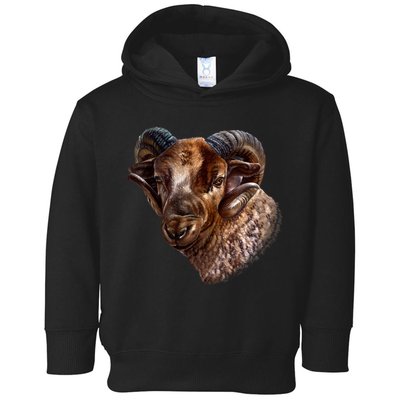 Wildlife Ram Stare Toddler Hoodie