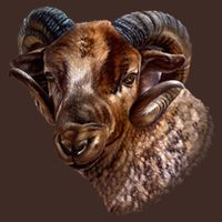 Wildlife Ram Stare Cooling Performance Crew T-Shirt