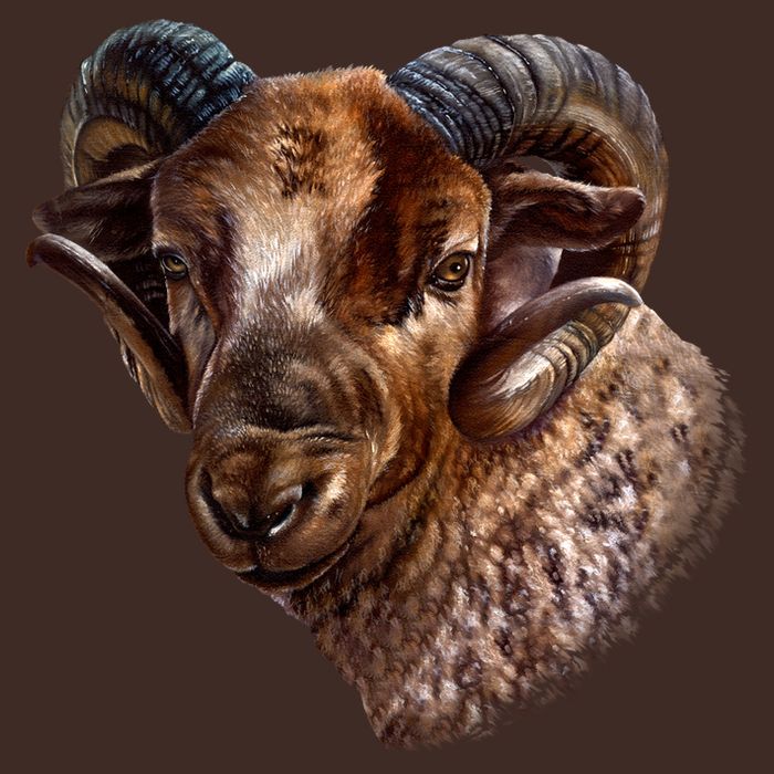 Wildlife Ram Stare Cooling Performance Crew T-Shirt