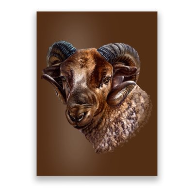 Wildlife Ram Stare Poster
