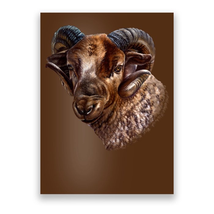 Wildlife Ram Stare Poster