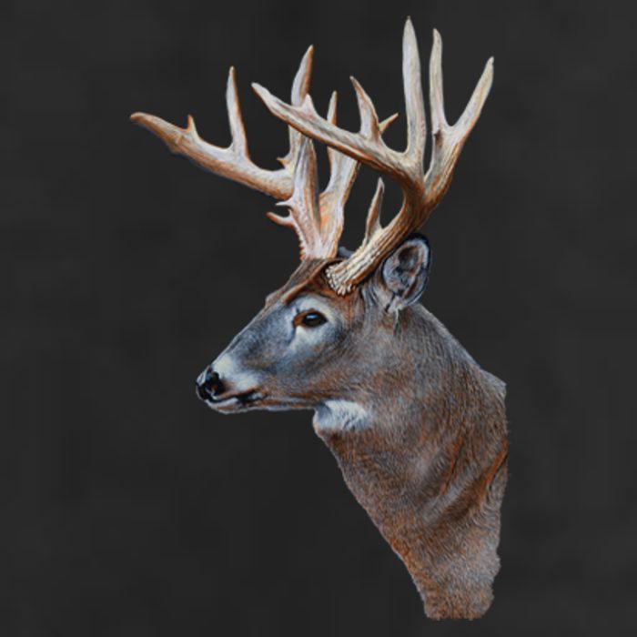 Wildlife The Boss Deer Head 11oz C Handle Ceramic Mug