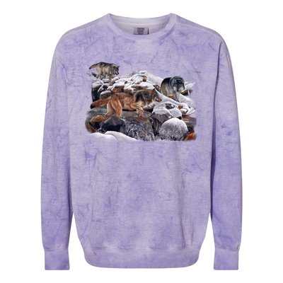 Wildlife Wolf Creek Colorblast Crewneck Sweatshirt