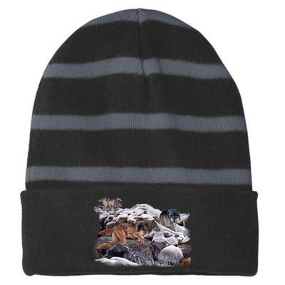 Wildlife Wolf Creek Striped Beanie with Solid Band