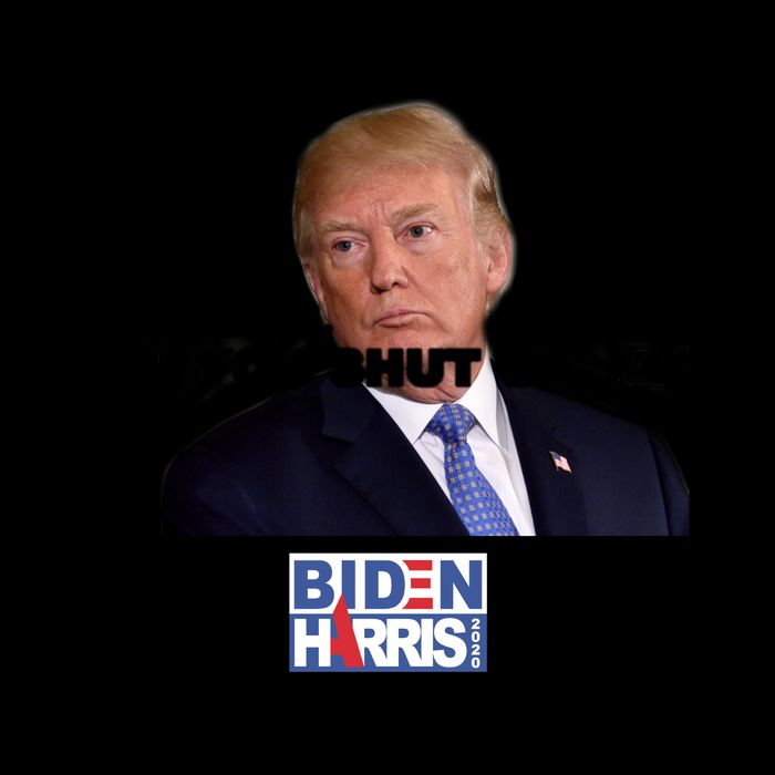 Will You Shut Up Man? Funny Anti Trump Mug