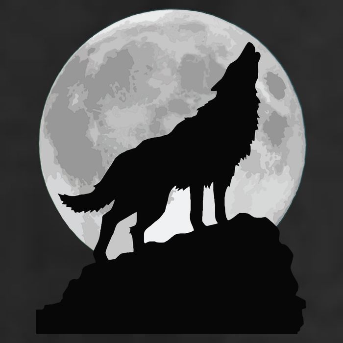 Wolf In Moon Light Cool Full Dog Pup Howling Tee 7 Panel Mesh Trucker Snapback Hat