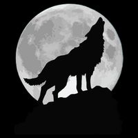 Wolf In Moon Light Cool Full Dog Pup Howling Tee 7-Panel Snapback Hat