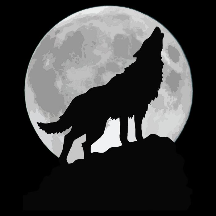 Wolf In Moon Light Cool Full Dog Pup Howling Tee 16 in Basic Backpack