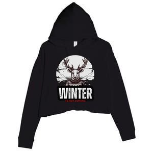 Winter Is Not Coming Sunshine Summer Graphic Fashion Funny Crop Fleece Hoodie