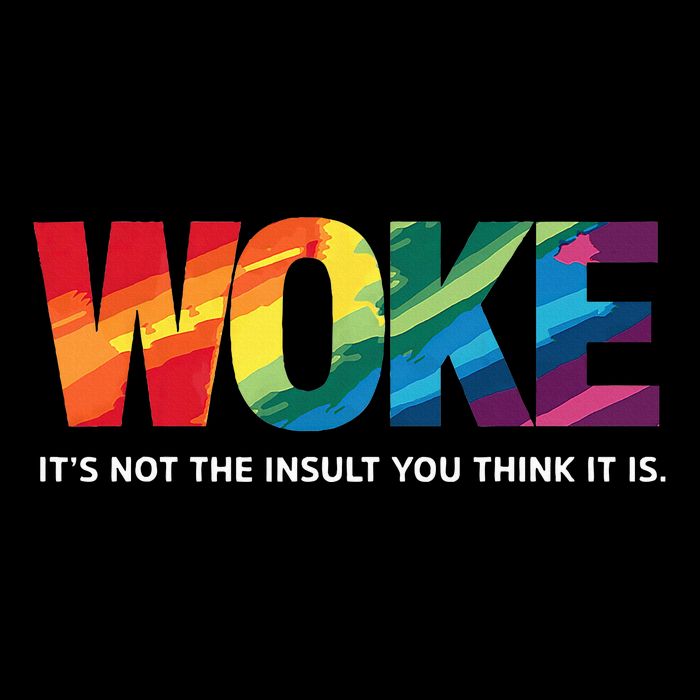 Woke ItS Not The Insult You Think It Is Flat Bill Trucker Hat