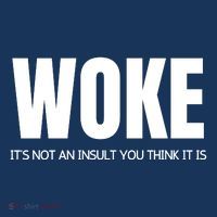 Woke Is Not An Insult Pom Pom 12in Knit Beanie