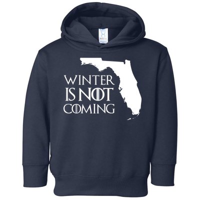 Winter Is Not Coming Florida Toddler Hoodie