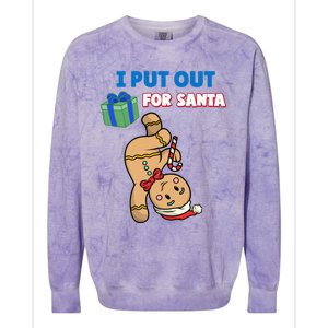 Wo's I Put Out For Santa Fun Sarcastic Gingerbread Cookie Cool Gift Colorblast Crewneck Sweatshirt