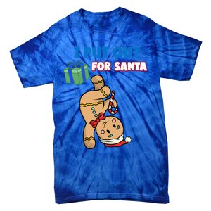 Wo's I Put Out For Santa Fun Sarcastic Gingerbread Cookie Cool Gift Tie-Dye T-Shirt