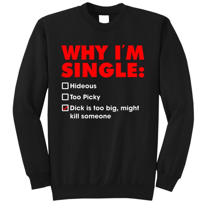 Why I'm Single Hideous Too Picky Dick Is Too Big ,Might Kill Someone Sweatshirt