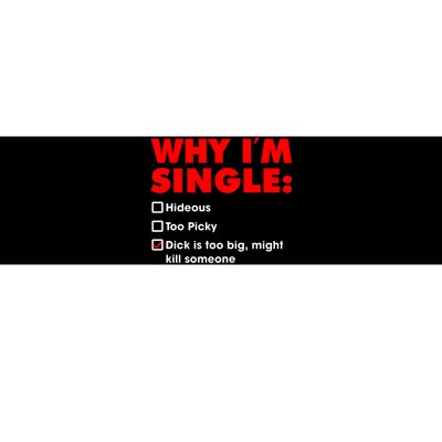 Why I'm Single Hideous Too Picky Dick Is Too Big ,Might Kill Someone Bumper Sticker