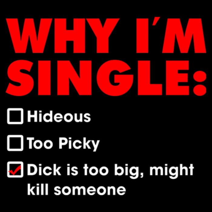 Why I'm Single Hideous Too Picky Dick Is Too Big ,Might Kill Someone Premium T-Shirt