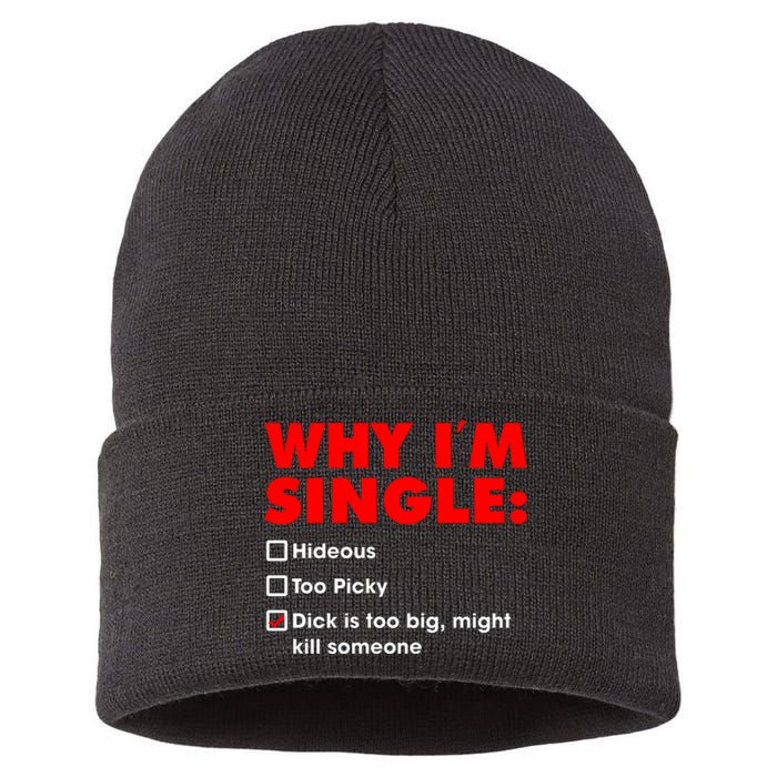 Why I'm Single Hideous Too Picky Dick Is Too Big ,Might Kill Someone Sustainable Knit Beanie