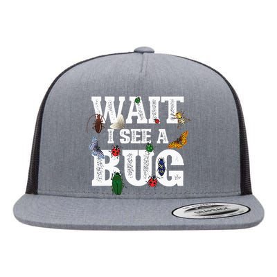 Wait I See A Bug Entomology Insect Collector Entomologist Flat Bill Trucker Hat