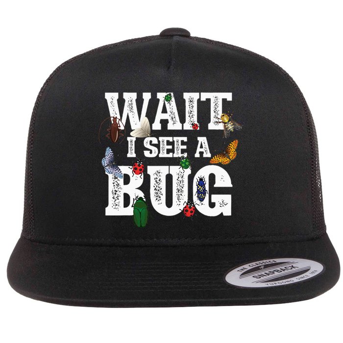 Wait I See A Bug Entomology Insect Collector Entomologist Flat Bill Trucker Hat