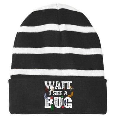 Wait I See A Bug Entomology Insect Collector Entomologist Striped Beanie with Solid Band