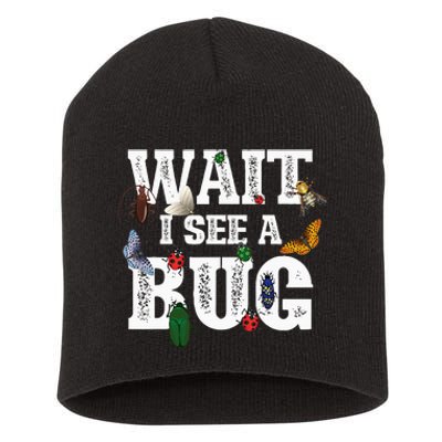 Wait I See A Bug Entomology Insect Collector Entomologist Short Acrylic Beanie