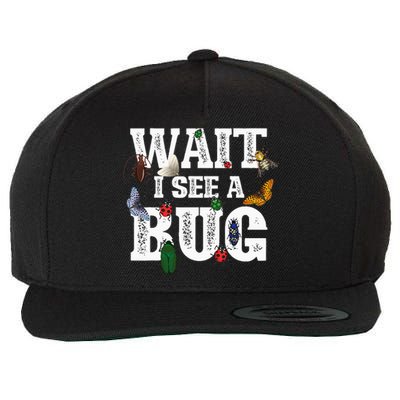 Wait I See A Bug Entomology Insect Collector Entomologist Wool Snapback Cap