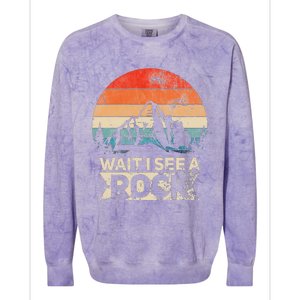 Wait I See A Rock Funny Geologist Idea Colorblast Crewneck Sweatshirt