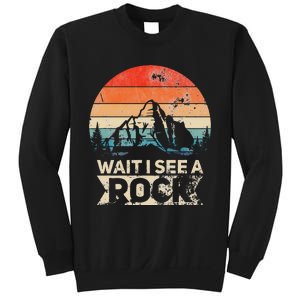 Wait I See A Rock Funny Geologist Idea Sweatshirt