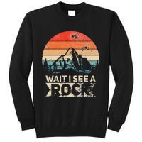 Wait I See A Rock Funny Geologist Idea Tall Sweatshirt