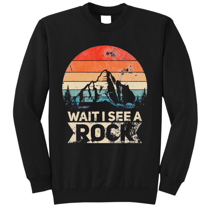 Wait I See A Rock Funny Geologist Idea Tall Sweatshirt