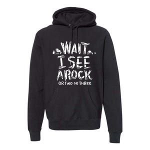 Wait I See A Rock Geology Premium Hoodie