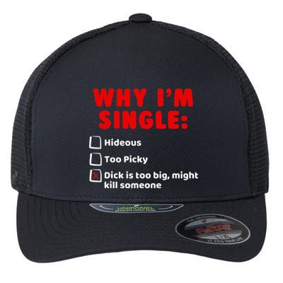 Why IM Single Hideous Too Picky Dick Is Too Big Flexfit Unipanel Trucker Cap