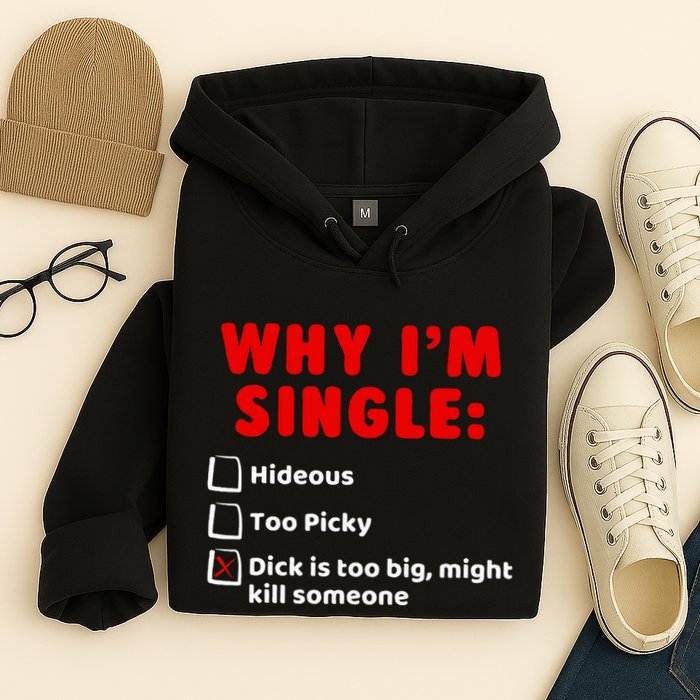 Why IM Single Hideous Too Picky Dick Is Too Big Hoodie