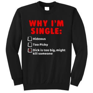 Why IM Single Hideous Too Picky Dick Is Too Big Sweatshirt