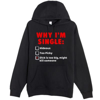 Why IM Single Hideous Too Picky Dick Is Too Big Premium Pullover Hoodie