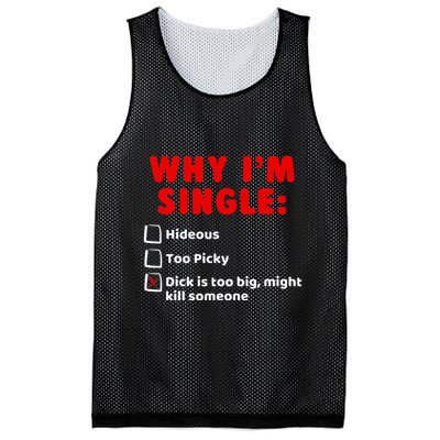 Why IM Single Hideous Too Picky Dick Is Too Big Mesh Reversible Basketball Jersey Tank