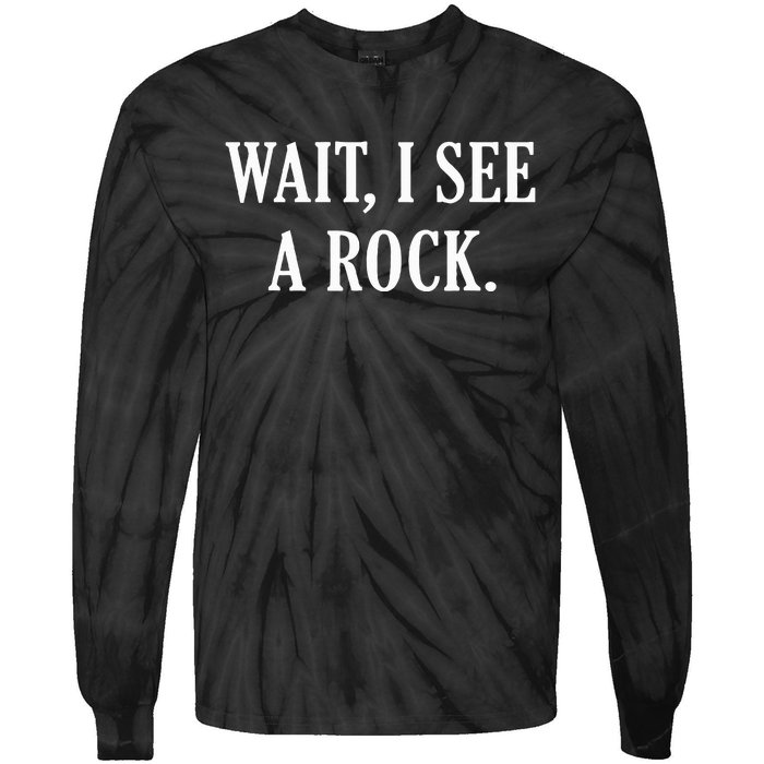 Wait I See A Rock Funny Geology Lover Tie-Dye Long Sleeve Shirt