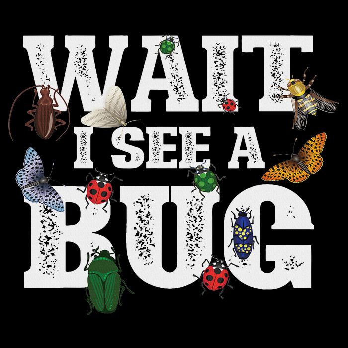Wait I See A Bug Entomology Insect Collector Entomologist Mousepad