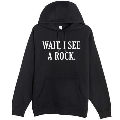 Wait I See A Rock Funny Geology Lover Premium Pullover Hoodie
