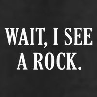 Wait I See A Rock Funny Geology Lover 12oz Stainless Steel Coffee Mug