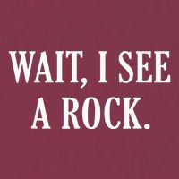 Wait I See A Rock Funny Geology Lover 16oz Travel Tumbler