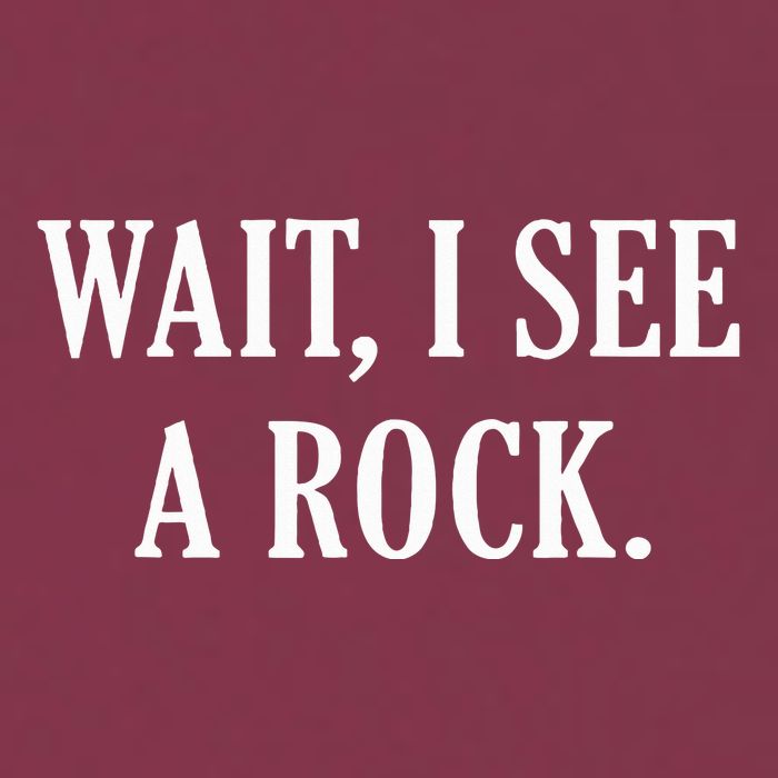 Wait I See A Rock Funny Geology Lover 16oz Travel Tumbler