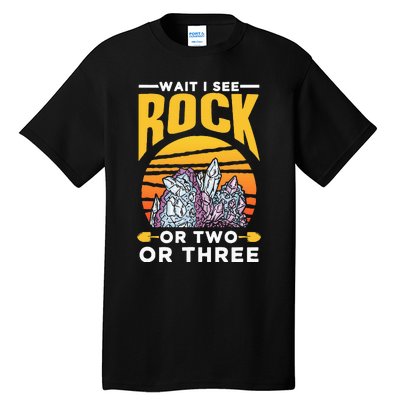 Wait I See A Rock Or Two Or Three Geologist Geology Stone Tall T-Shirt