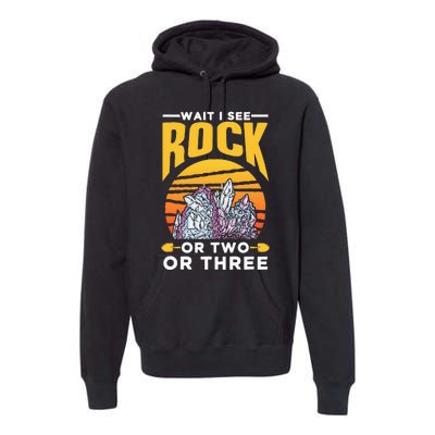 Wait I See A Rock Or Two Or Three Geologist Geology Stone Premium Hoodie