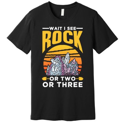 Wait I See A Rock Or Two Or Three Geologist Geology Stone Premium T-Shirt