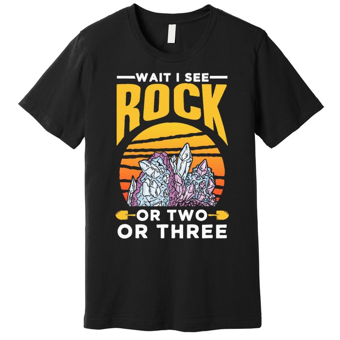 Wait I See A Rock Or Two Or Three Geologist Geology Stone Premium T-Shirt