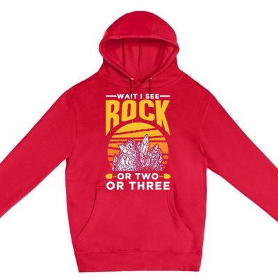 Wait I See A Rock Or Two Or Three Geologist Geology Stone Premium Pullover Hoodie